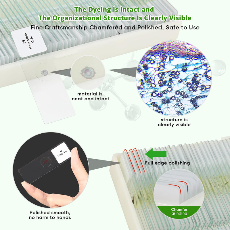 60 Microscope Slides with Specimens,Prepared Microscope Slides for Kids,Glass Slides for Microscope,Prepared Slides for Kids Microscope,Microscope Slide Preparation Kit for Biology Science Classes 60 pcs