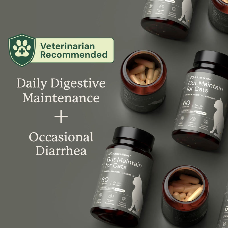 AnimalBiome NEW Probiotics for Cats with S Boulardii (30 Capsules) KittyBiome - Gut Maintain Triple-Action Phage, Prebiotics & Probiotic Cat Supplements for Digestive Health, Open for Easy Food Topper 30 Capsules