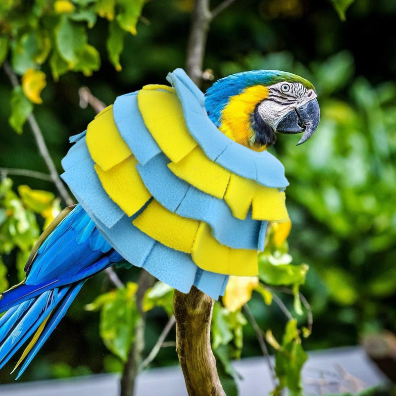 Bird Collar for Macaw Parrots Feather Plucking Parrot Anti Bite Collar Full Body Shield - PawsPlanet Australia