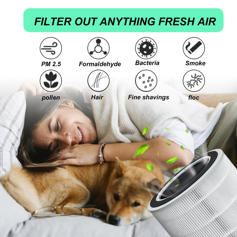 AP10 Replacement Filter