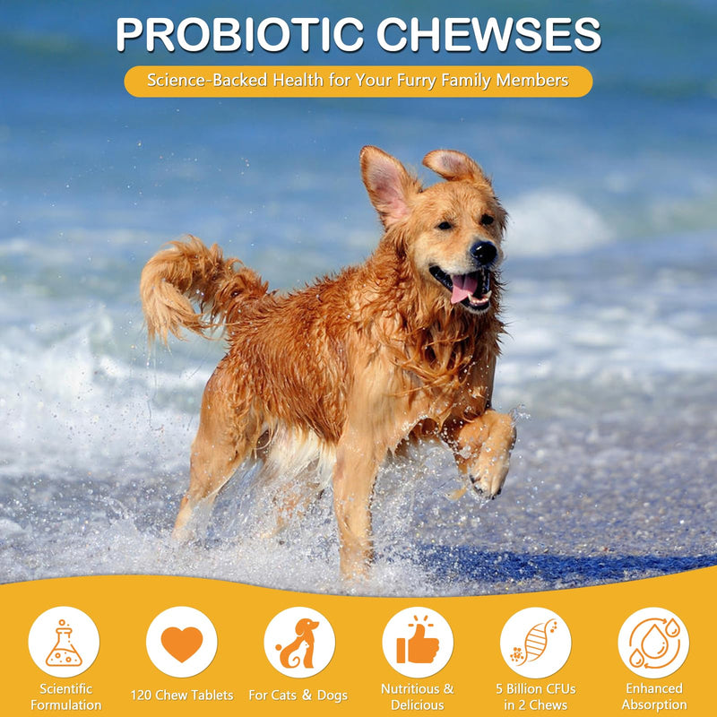 Probiotics for Dogs & Cats with 5 Billion CFUs - Gut Health, Firm Stool, Gas Relief, Immune Support, 120 Chews, Chicken Flavor