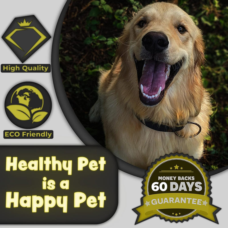 H&H Pets Dog Toothbrushes and Toothpaste Best Professional Cat & Dog Finger Tooth Brush, Dog Brush Set, Perfect for Dogs and Cats, Dog Supplies - Size Small 1 Count 3.5 Oz Toothpaste (100g) - PawsPlanet Australia