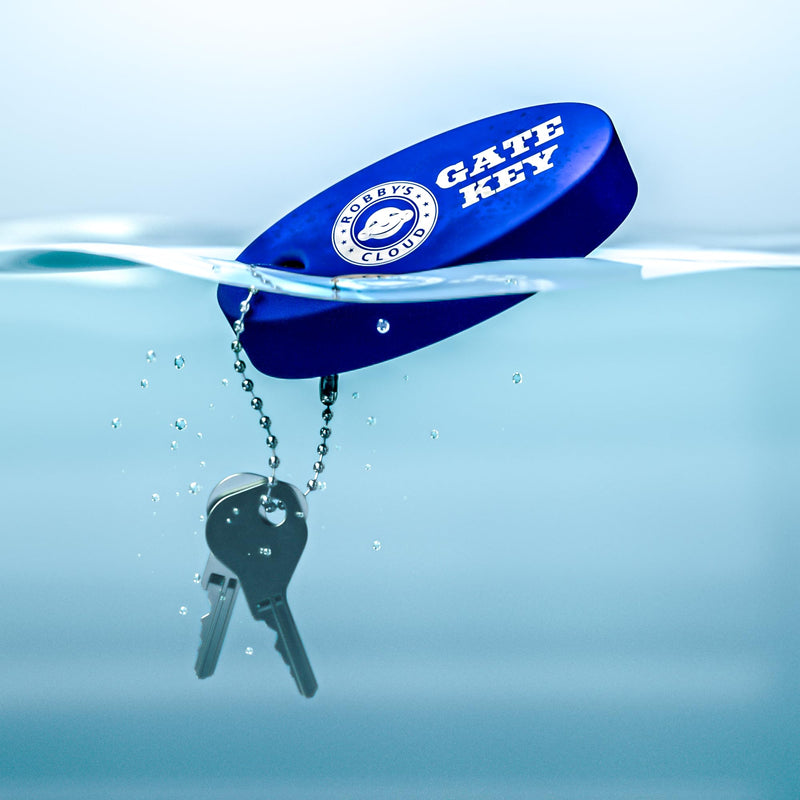 Key Replacement for Magna Latch Series 2 with Downward Facing Keyhole (Old Style) - Key 62462 for MagnaLatch & LokkLatch Pool Gate Models with Robby's Cloud Key Float Keychain (6 Pack) 6 Magna Latch Series 2 Key