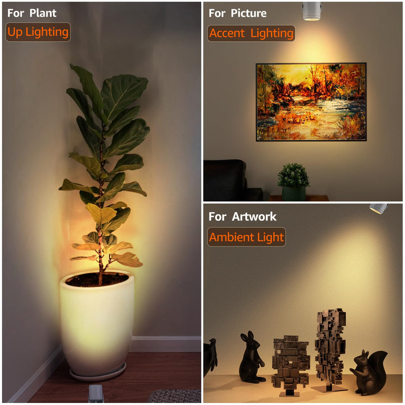 3W Uplighting Indoor LED Spot Lights Indoor with Timer 3000K/4000K/5000K Floor Spotlight Indoor Uplights Dimmable Plug in Up Lights Indoor Spotlight for Plants Picture Artwork, 2 Pack