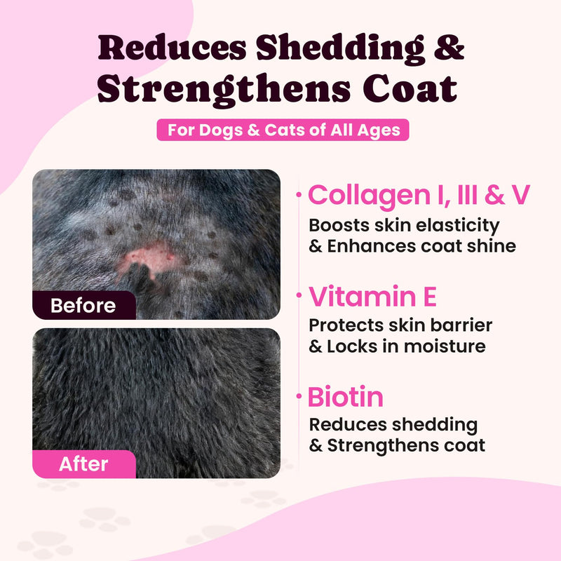 Gut & Skin Health Bundle for Dogs & Cats – Probiotic Powder + Liquid Collagen