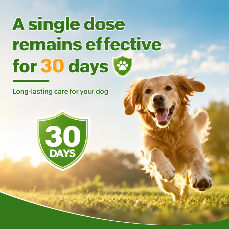 Flea and Tick Prevention for Small Dogs, Waterproof Topical Dog Flea and Tick Fast-Acting at Home, 6 Doses Control for Dogs 5-22 lbs
