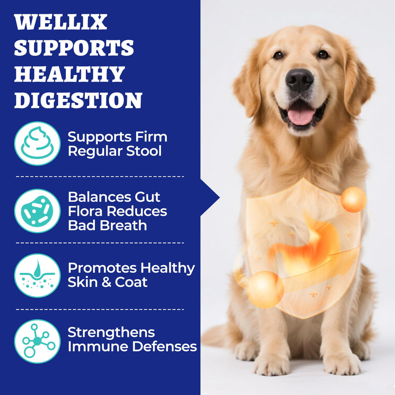 Wellix 19.4oz Probiotics for Dogs - Dog Probiotics and Prebiotics with Pumpkin - Improve Digestive Health, Allergies and Itchy Skin Relief Natural Gut Health Supplements for Small Medium Senior Dog