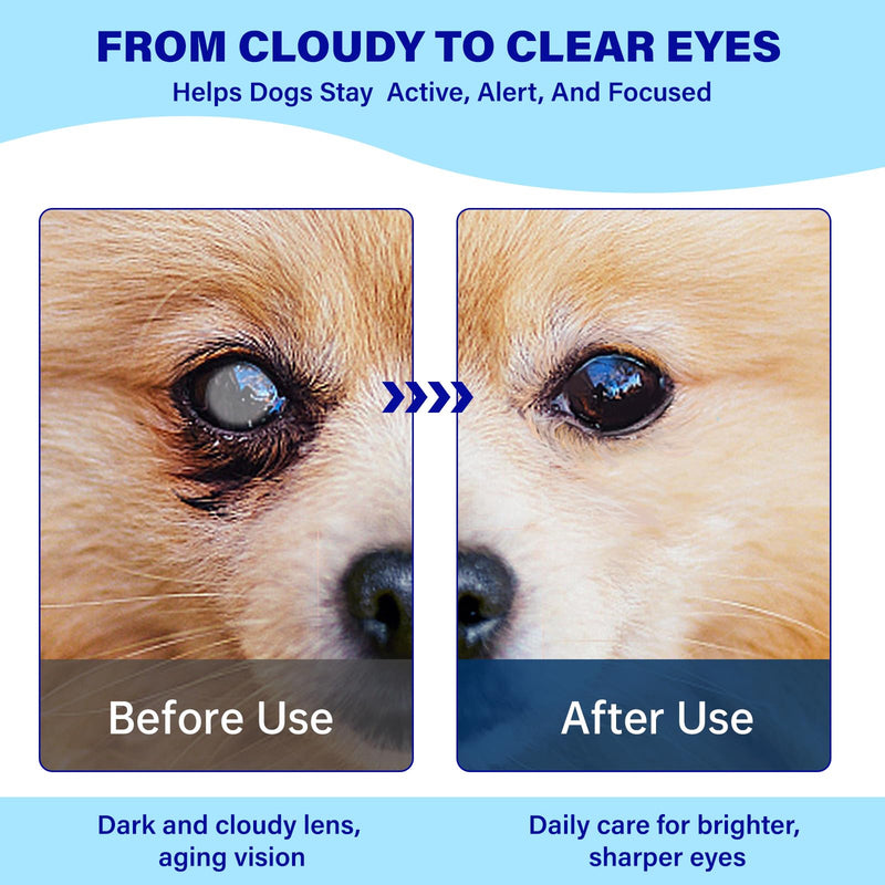 Eye Supplements for Dogs - Vision Support Soft Chews with Lutein, DHA & Vitamin C | 120ct Salmon Flavor Tear Stain Chews | Cataract & Dry Eye Relief Supplement (90 Ct)