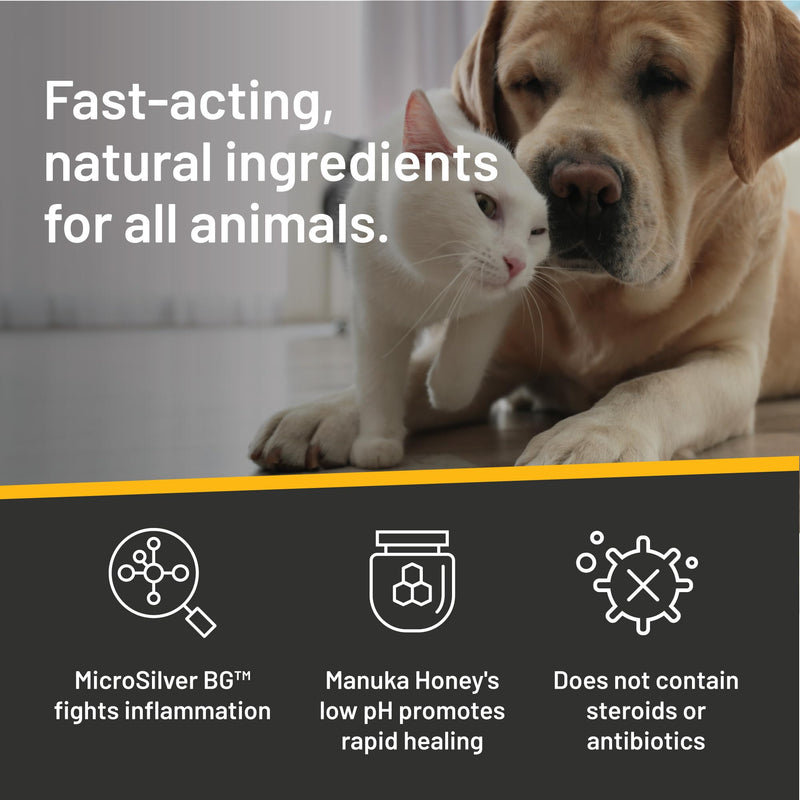 Absorbine Silver Honey Hot Spot & Wound Care Ointment 2oz Tube, Manuka Honey & MicroSilver BG, Medicated for Dogs, Cats, Small Animals 2 oz, Single