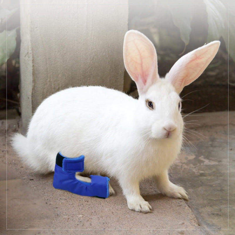 1 Pair of Water Resistant Rabbit Socks for Sore Hocks Elbow Protective for Bunny Recovery and Relief Wound Pain Waterproof - PawsPlanet Australia
