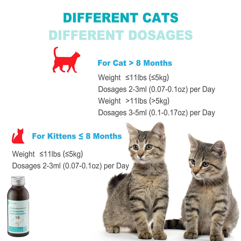 MARIMER Cat Immune Support Liquid Supplement – L-Lysine & Astragalus – Enhances Immunity and Relieves Feline Herpes Symptoms – Nutritional 3.38oz (100ml) for Cats of All Ages