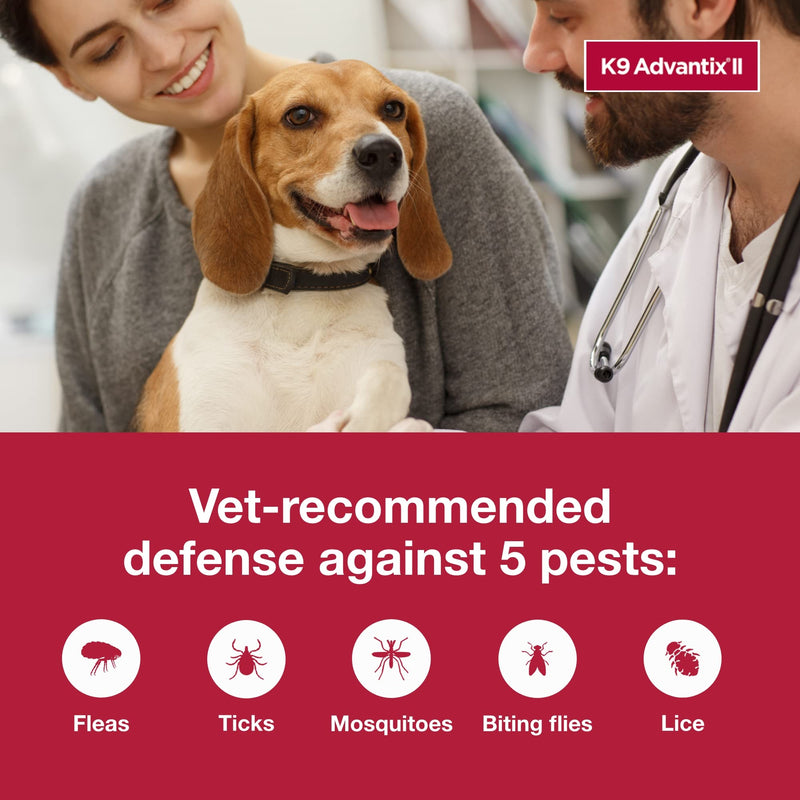 Bundle of K9 Advantix II Small Dog | 2-Mo Supply + Pet Protect Skin Health Soft Chews for Dogs, 60 Count