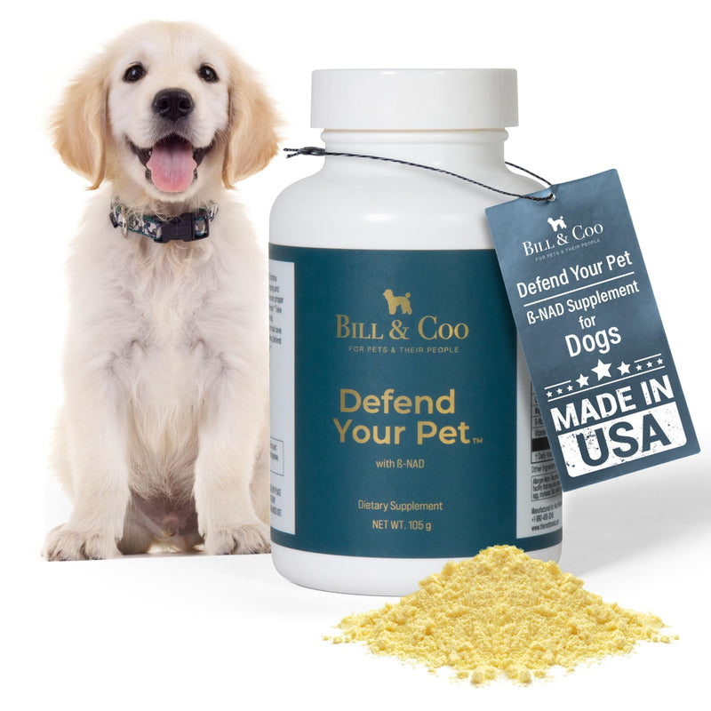 BILL & COO Defend Your Pet ß-NAD Supplement for Senior Dogs – Advanced Cellular Anti-Aging with Vitamins C, D, K2, Probiotics & Digestive Enzymes for Immune Support, Longevity & DNA Integrity – 105g