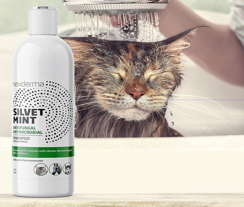 Natural Colloidal Medicated Pet Shampoo for Dogs and Cats - Tearless Hypoallergenic, Soap Free with Coconut Oil and Mint, Relief for Allergies, Odor, Itchy, Dry, Irritated Skin - 16oz, 1Pack - PawsPlanet Australia