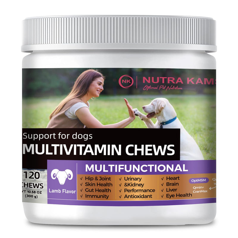 Multivitamin Chews for Dogs, 120 Chews | Supports Growth, Hip & Joint, Skin and Gut Health, Immunity, Urinary and Kidney, Heart, Brain, Liver, Eyes, Antioxidants