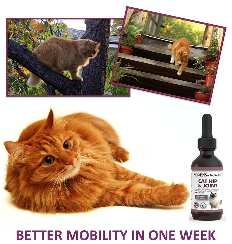 NODENS CAT Hip and Joint Glucosamine for Cats with Chondroitin and Opti-MSM® Hyaluronic Acid for Improved Joint Flexibility and Pain Relief from Inflammation and Cat Arthritis 2 floz - PawsPlanet Australia