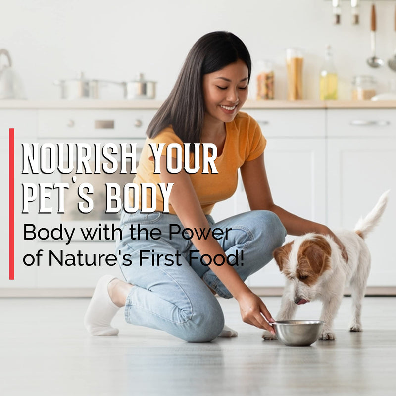Bovine Colostrum for Dogs and Cats, Organic Immune Support Supplement for Allergy and Itch Relief, Grass Fed Colostrum Powder for Pets, Dog Gut Health, All Ages, 8 oz 8 oz Pet - PawsPlanet Australia
