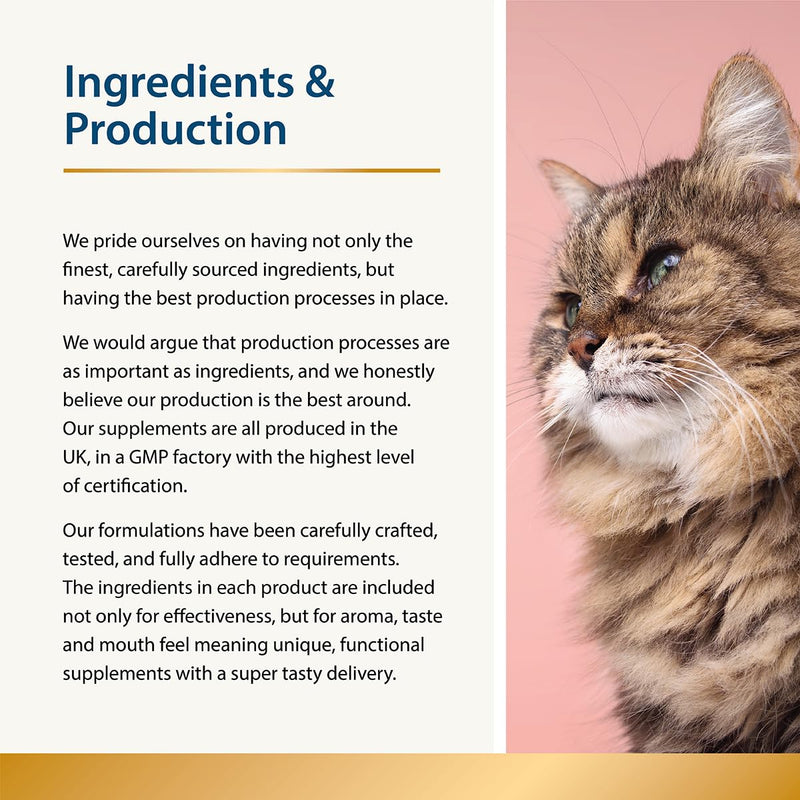 Beauty for Cats 100g | Skin & Coat Supplement for Cats | Omega 3 for Cat | Less Moulting & Shedding | Dry, Dull Coat | Tasty Topper | Fussy Eaters | Itchy Cats & Immunity | Salmon Oil Alternative Beauty