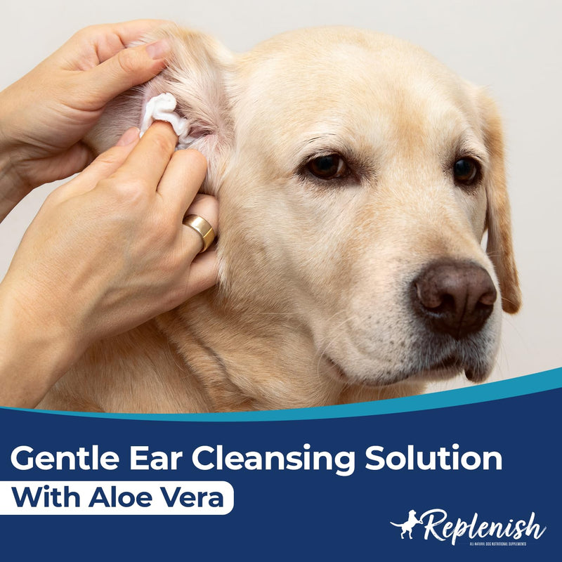 Replenish Ear Cleaner for Dogs and Cats - Dr. Rachel's Alcohol Based Gentle Ear Cleansing Solution with Aloe Vera-Infused Cucumber Melon Scent - 8 oz - PawsPlanet Australia