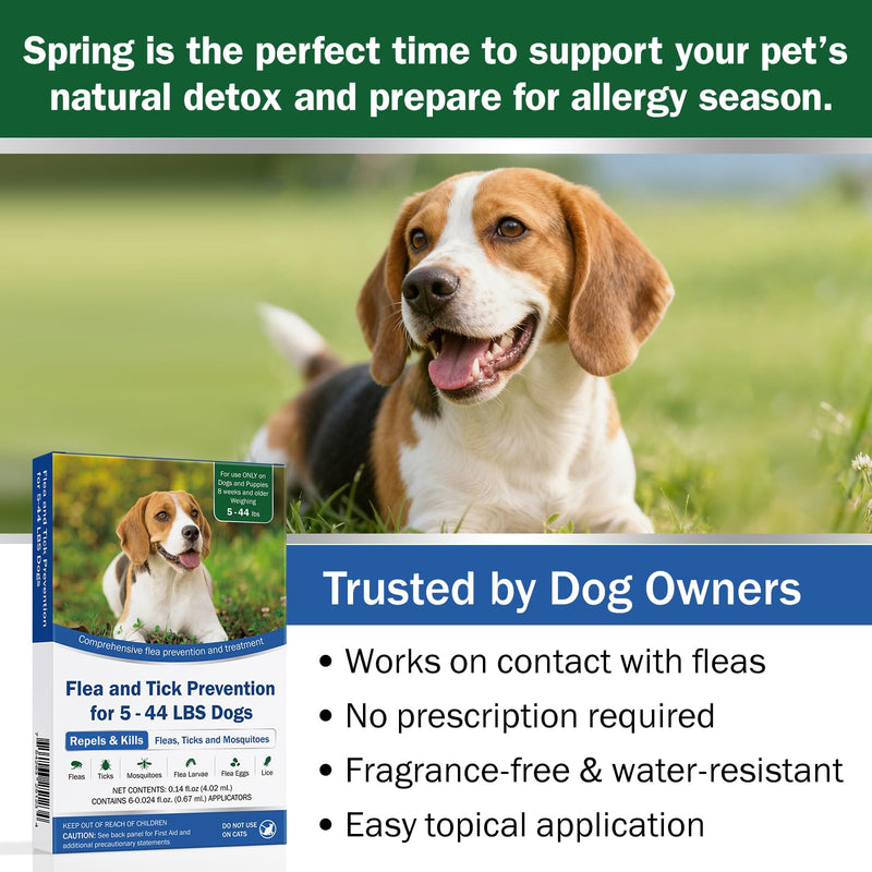 Flea and Tick Prevention for Dogs, 6-Pack, Dog Flea Tick Control, Repellent, Flea and Tick Prevention for Small Medium Dog 5-44 lbs, 24-Hour Protect, Flea Supplements for Dogs