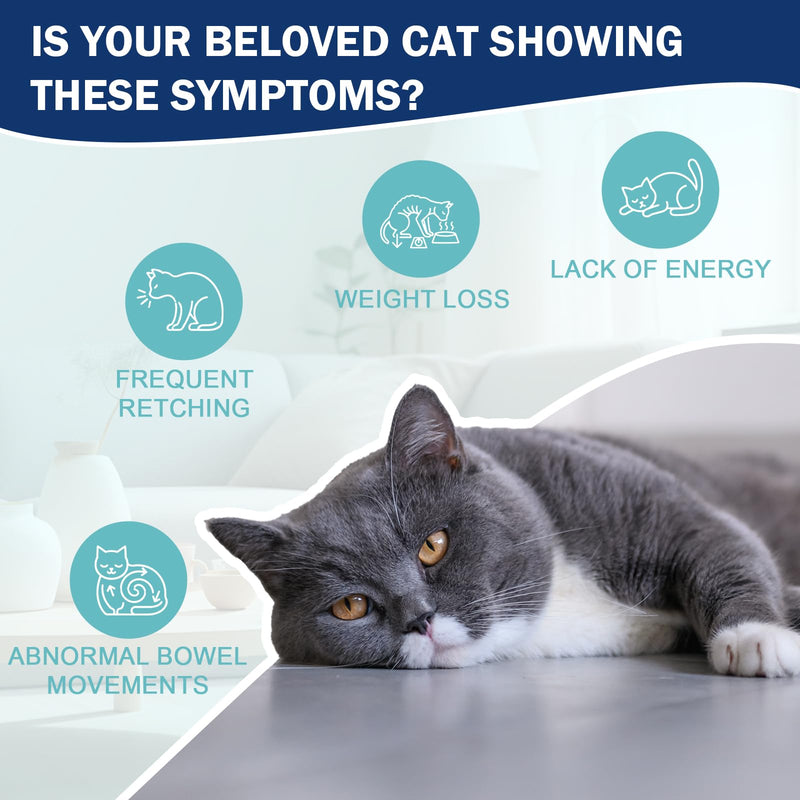 Cat Vomit Remedy for Cats, Vomiting Relief Drops with Probiotics, Digestive Support Liquid Helps Reduce Vomiting Hairballs and Sensitive Stomach, Supports Intestinal Balance Easy to Mix - 2 FL OZ