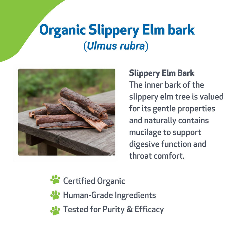 Pet Wellbeing Slippery Elm for Dogs - Vet-Formulated Dual Digestive & Throat Support - Organic Single Herb Extract - Holistic Soothing Dog Supplement - Liquid Formula 2 oz (59ml)