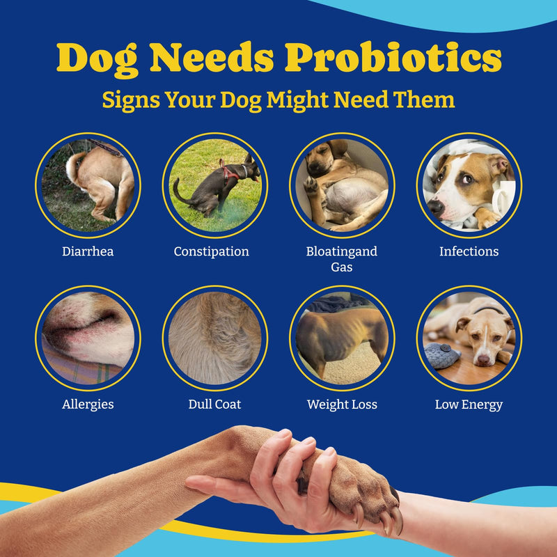 Dog Allergy Relief Chews – 70 Count + Probiotics 180 Count for Allergy, Gut & Immune Support