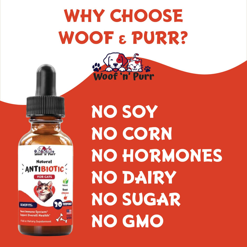 Natural Cat Antibiotic - Antibiotics for Cats - Pet Antibiotics - Cat Antibiotics - Cat Allergy Relief for Cats - Antibiotic for Cats - Cat UTI Antibiotics - 1 fl oz: Roast Chicken Flavor - PawsPlanet Australia