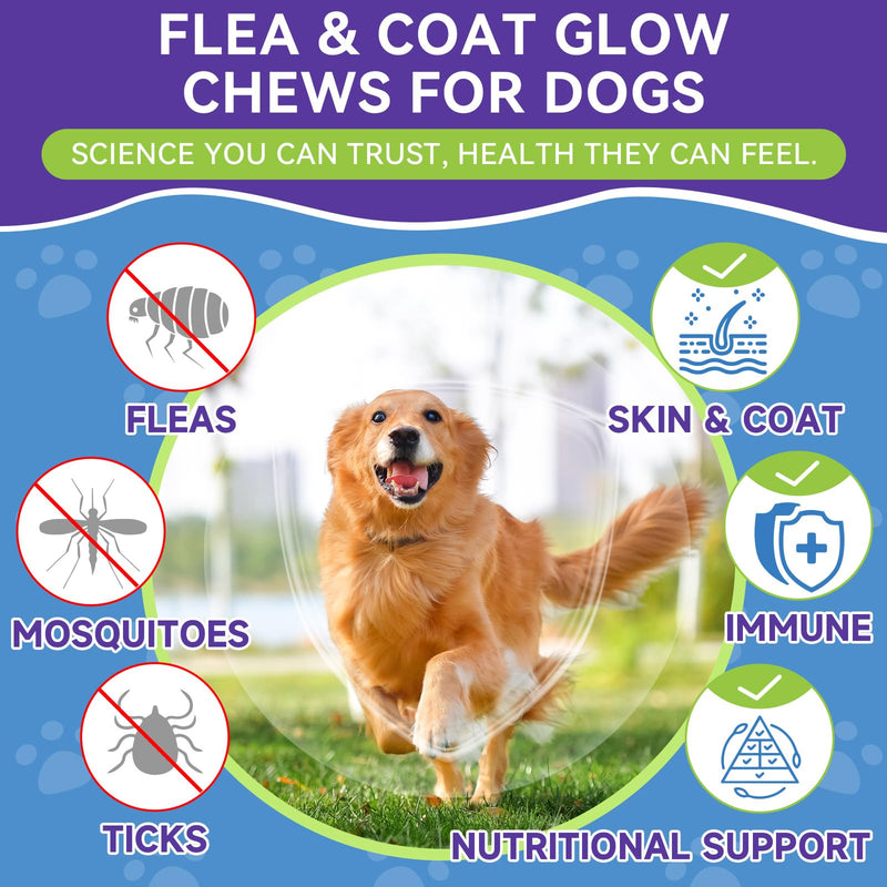 Flea and Tick Prevention for Dogs, Dog Flea Treatment with Skin & Coat Support 500 Crunchy & Krill Chews Dog Flea and Tick Treatment Chewable for Immunity & Energy for All Breeds & Ages Chicken Flavor