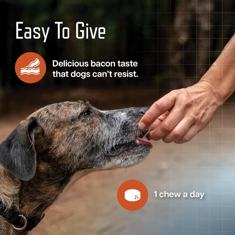 Virbac URSOLYX™ Soft Chews for Dogs | Muscle Health Support for Senior, Active or Recovering Dogs, Medium 30-60lbs | 60 Count 2- Month Supply 1 Pack (60 count)