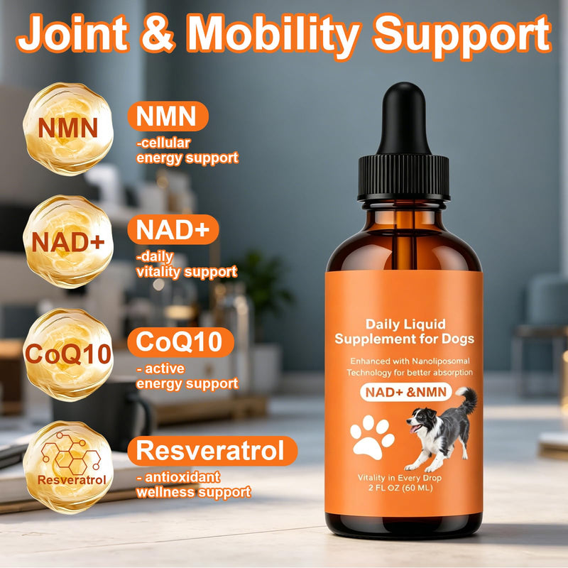 Dog Longevity Supplement with NMN, NAD+, CoQ10 & Resveratrol - Supports Joint Health, Vitality & Healthy Aging - 60-Day Nanoliposomal Drops for Better Absorption