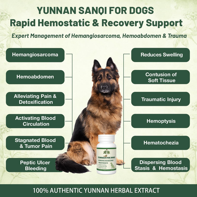 yu nan Capsules for Dogs – Natural Herbal Quick Stop Bleeding & Blood Support for Hemangiosarcoma, Hemoabdomen, Pericardial Effusion, Cancer Bleeding, Ulcers & Bloody Stools– 90 Capsules