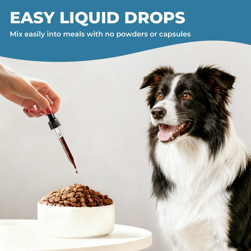 Taurine Supplement for Dogs Liquid Drops, Dog Taurine with Coenzyme Q10 & L-Carnitine, Supports Heart Function, Energy & Daily Vitality, 2 fl oz 60 ml (Pack of 1)
