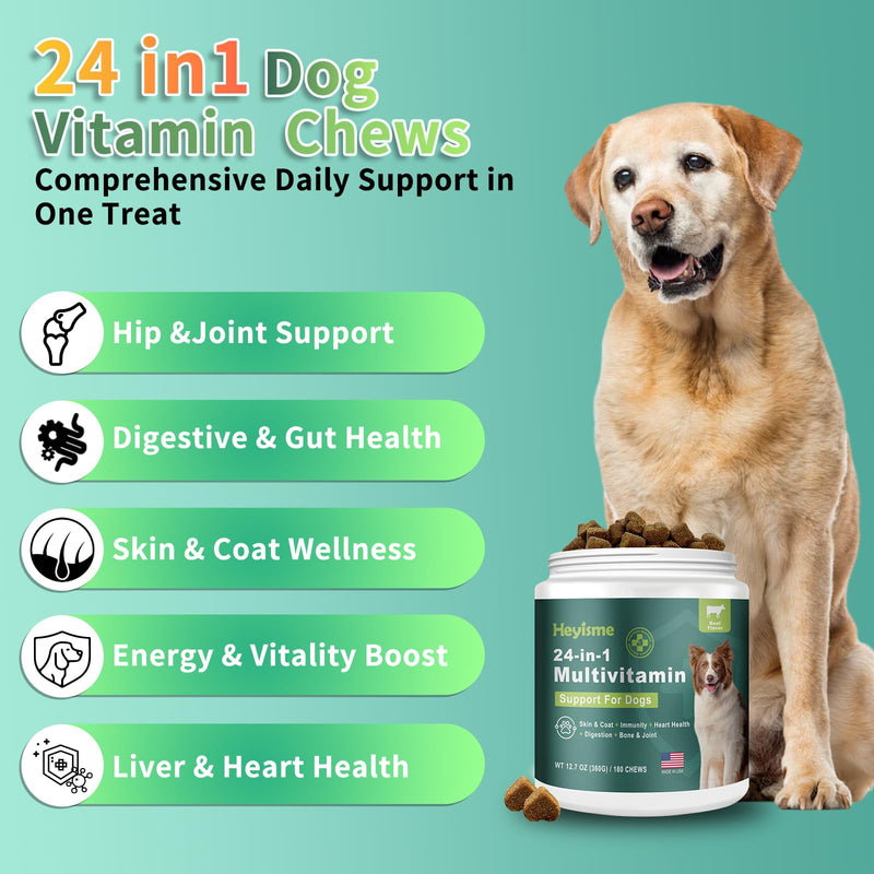 Dog Multivitamin, Glucosamine Chondroitin for Dogs, Dog Vitamins and Supplements, Probiotics, Krill Oil for Hip & Joints, Skin, Coat, Immune Health, Heart, Digestion (180 Chews, Beef) 180 Chews