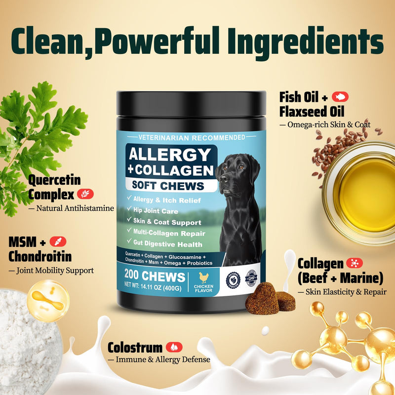 Dog Allergy Chews is Collagen Omega 3 Human Anti Itch Relief for Dogs Multivitamin Itching Skin Relief and Aller Immune Pet Allergy Chews Coat Licking Supplement Pills Meds Treats 200 Bites for Dogs 2 g/capsule 200pcs