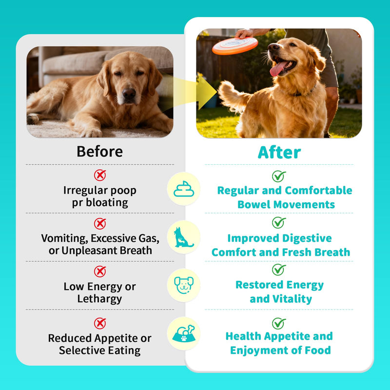 Probiotics for Dogs, Digestive Enzymes & Pumpkin Fiber for Gut Health and Bowel Support, Dog Supplement for Gas Relief & Constipation, 10B CFU with 5 Prebiotics & 5 Enzymes, 90 Count Beef Flavor 90 Count (Pack of 1)