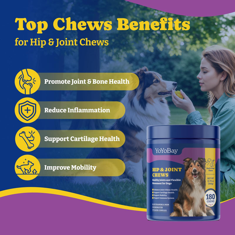 Dog Allergy Relief Chews for Immune Support & Itch Relief + Dog Joint Supplement for Anti-Inflammatory, Support Hip & Joint Health, Mobility - 180 Soft Chews - PawsPlanet Australia
