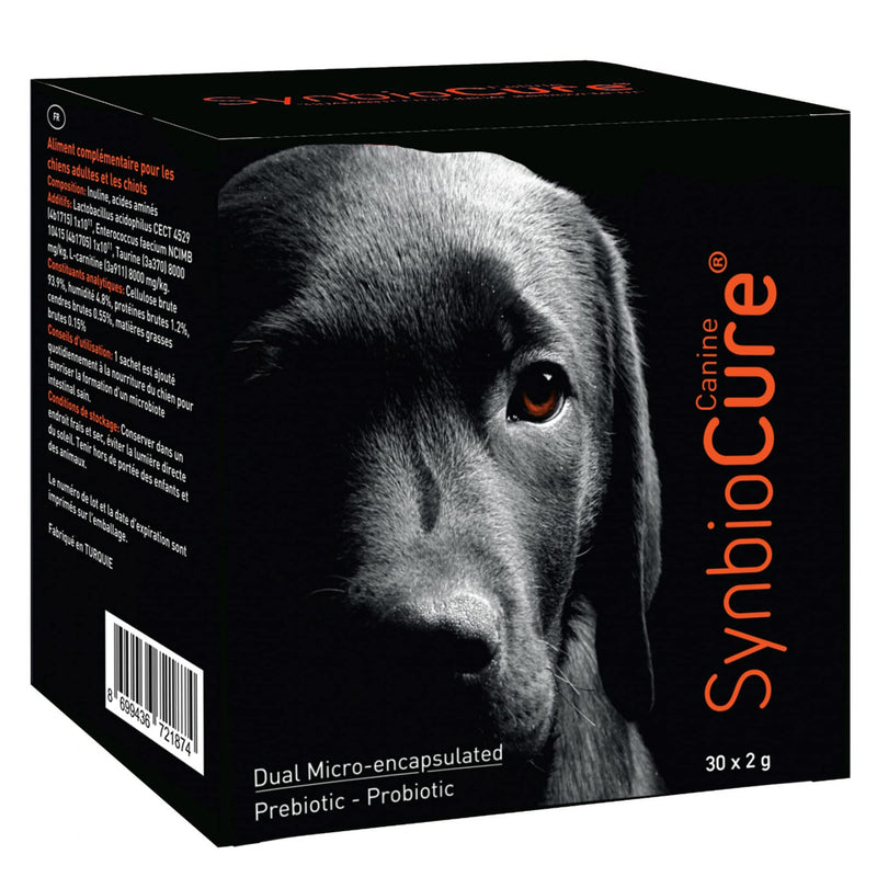 I Probiotics & Prebiotics for Dogs I Powder Dog Supplement I Digestive Health Support I 200 Billion Bacteria Per Sachet I 30 Sachets*2 g