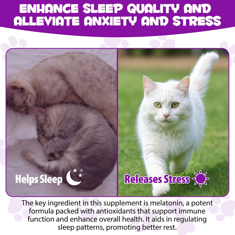 ARMOYA Cat Melatonin - Melatonin for Cats - Cat Calming Treats- Cat Sedative for Grooming - Helps to Support Restful Sleep for Your Cat - Cat Sleep Aid - Anxiety Relief for Cats 1pcs