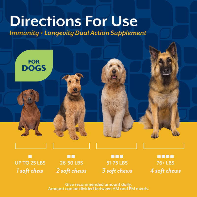 NaturVet Immunity + Longevity Dual Action Supplement for Dogs, Helps Support Immune Response & Cellular Health with NAD+ Precursor, Milk Thistle, Lutein, & Zinc, 60 Hickory Bacon Soft Chews