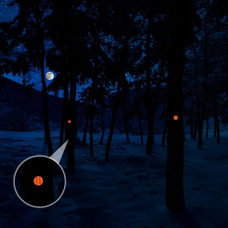 Reflective Tacks Trail Marking Tacks Reflective Trail Tacks Glow Tacks Reflective Trail Markers Mark Trail Reflective Thumb Tacks for Hunting Hiking Camping Tree Stand(Orange,200) 200 Orange