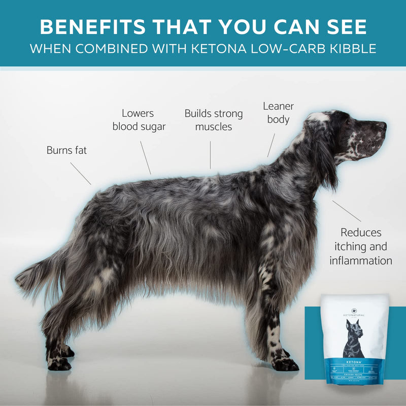 Ketona Daily Calming Chews with Hemp for Dogs, Natural Duck Flavor, Healthy Chewable Supplements That Promote Calming and Relaxation, Natural and Organic Ingredients – 120 Count - PawsPlanet Australia