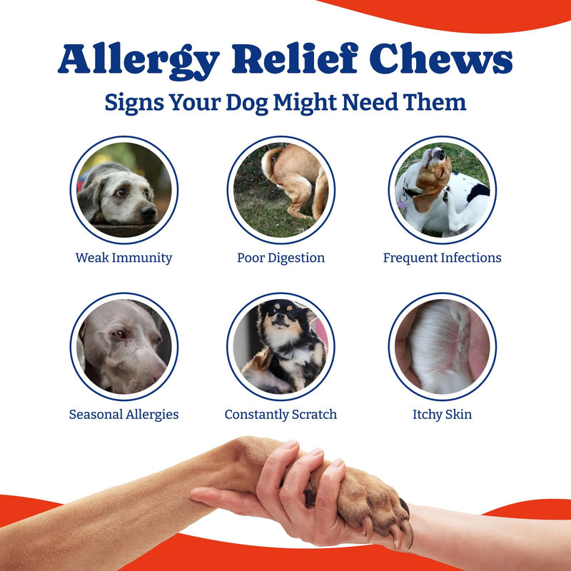 Dog Allergy Relief Chews – 70 Count + Flea & Tick Defense Chews 180 Count (2.0 Formula)
