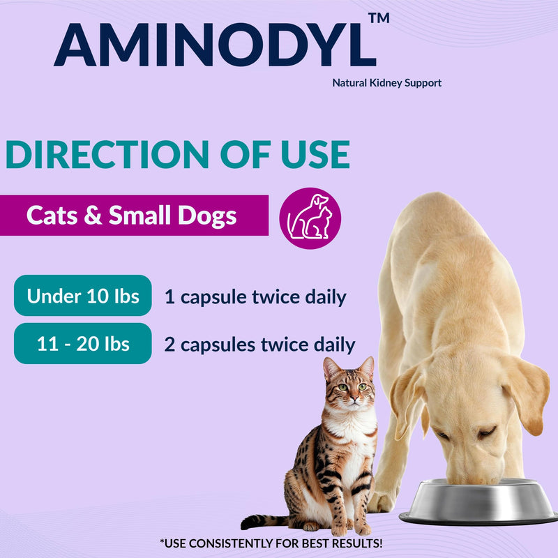 Aminodyl™ Kidney Support Supplement 400mg for Cats & Small Dogs - Supports Natural Kidney Function with Amino Vastly Promotes Health, Wellbeing & Vitality of Kidneys - 120 Sprinkle Capsules. U.S.A Cats & Small Dogs <20lbs (120 Caps) 400 mg