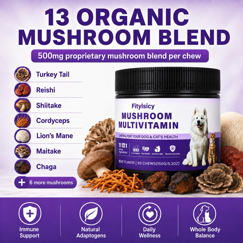 Mushroom Supplement for Dogs & Cats, 11-in-1 Pet Multivitamin Soft Chews, 13 Organic Mushrooms with Glucosamine, Chondroitin, MSM & Omega-3, Immune, Gut, Joint, Skin & Coat Support, Beef, 60 Count