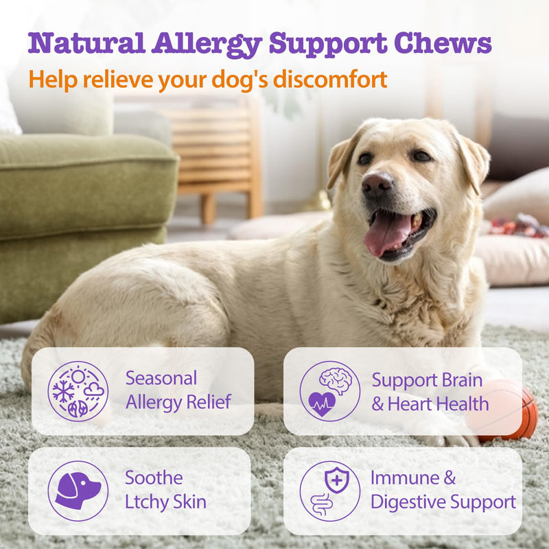 Dog Allergy Chews 200ct, Anti Itch Relief for Dogs Itching Skin Relief Dog Allergy Relief Immunity Chews with Probiotics Colostrum Omega 3 Fish Oil for Dry Itchy Skin Licking Seasonal Allergies