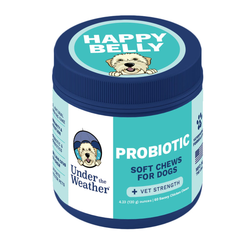 Under the Weather Probiotic Chews for Dogs | Daily Probiotics and Prebiotics for Digestive Health Gut | Balance and Immune Support | Vet Formulated Dog Digestive Supplement | Chicken Flavor | 60 Count