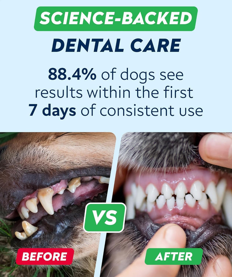 STRELLALAB Dental Powder for Dogs - Natural Kelp Dental Powder - 30 Count BBQ