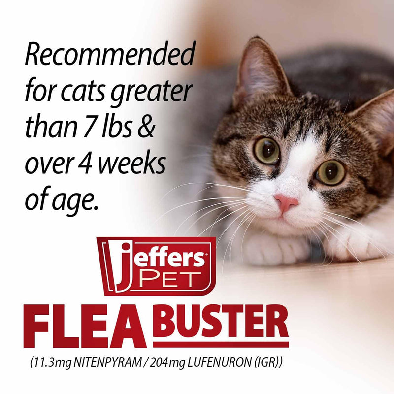 Jeffers Pet Flea Buster Chewable Tablets for Cats and Kittens 7-15 lbs, Tuna Flavor Supplements, Monthly Cat Flea Support, Made in USA, Easy to Feed Cat Tablets, Travel Friendly - 6 Count 7–15 lb