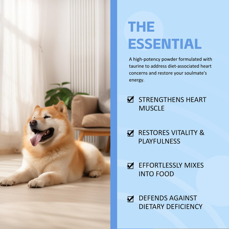 Doggy Supps Taurine - Taurine Supplement for Dogs - Immune Support, Boost Energy & Vitality, Skin & Coat Health for Heart, Vision & Daily Wellness - 200 Grams(1pc) 1pc